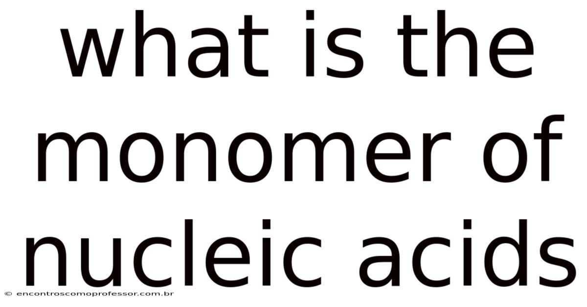 What Is The Monomer Of Nucleic Acids