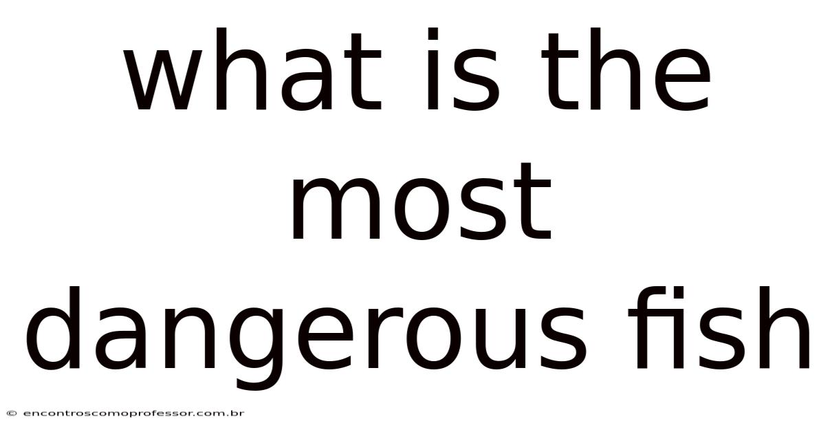What Is The Most Dangerous Fish