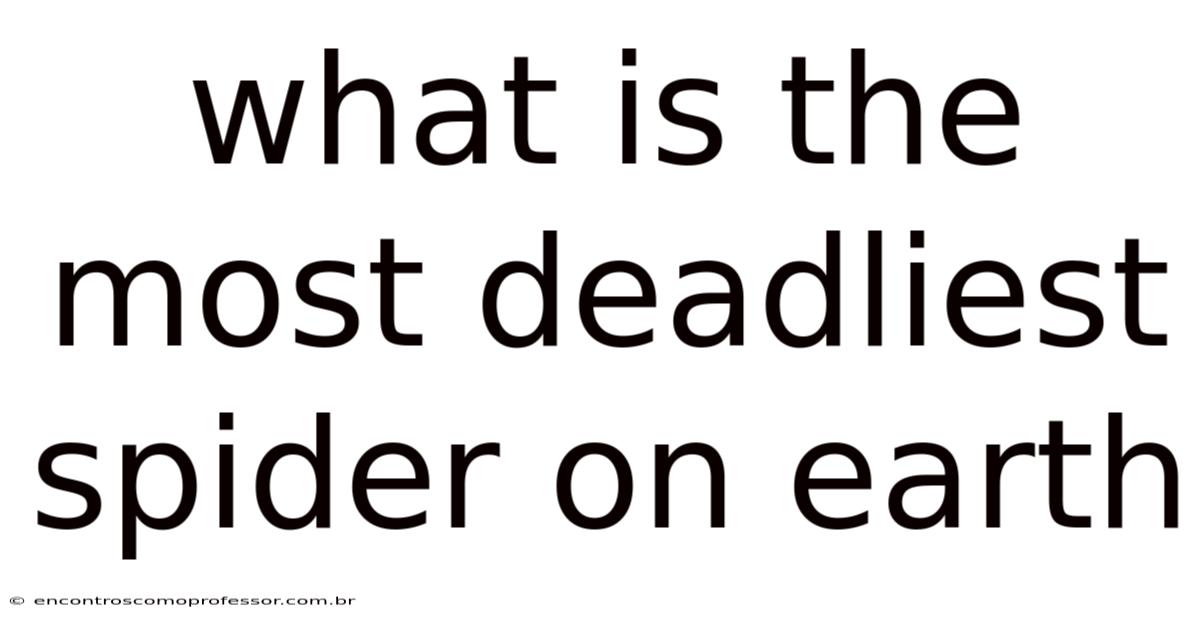 What Is The Most Deadliest Spider On Earth