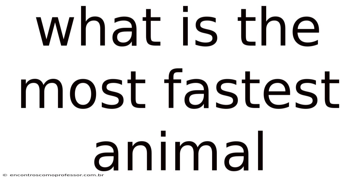 What Is The Most Fastest Animal