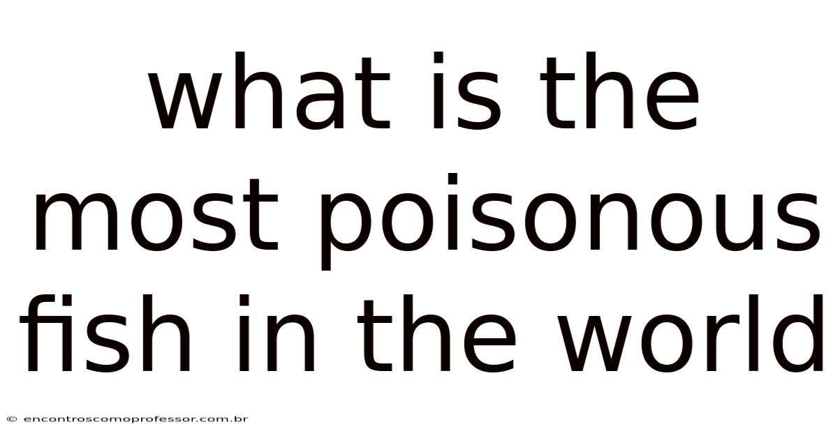 What Is The Most Poisonous Fish In The World