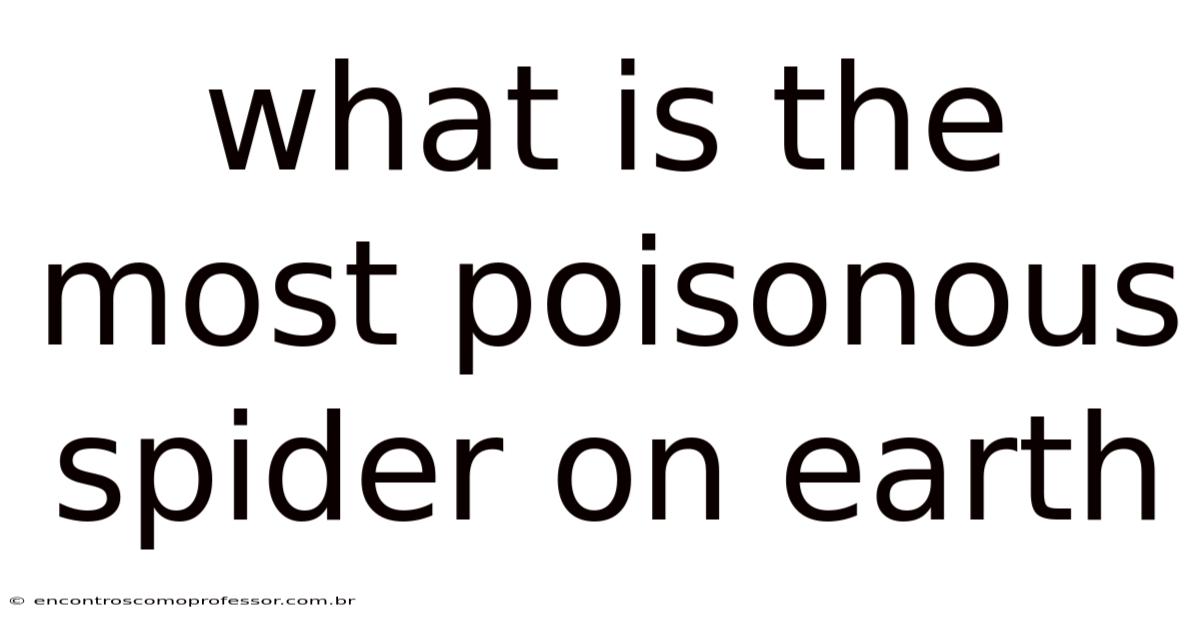 What Is The Most Poisonous Spider On Earth