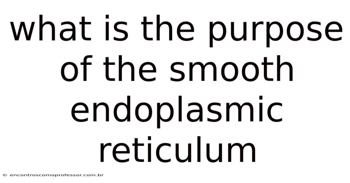 What Is The Purpose Of The Smooth Endoplasmic Reticulum