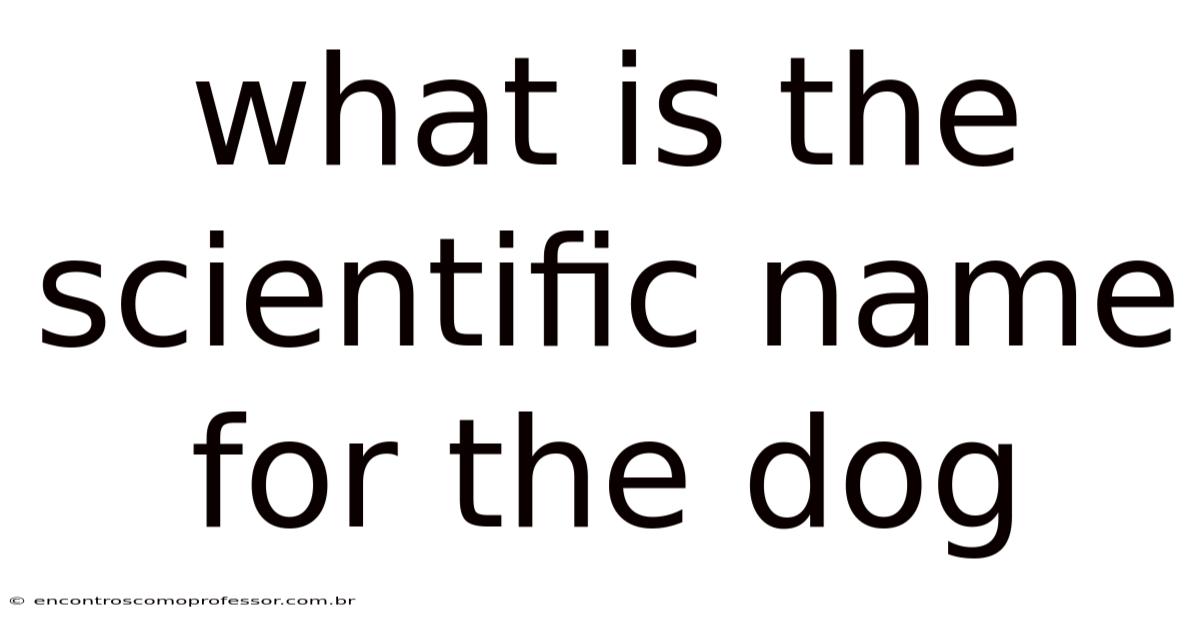 What Is The Scientific Name For The Dog