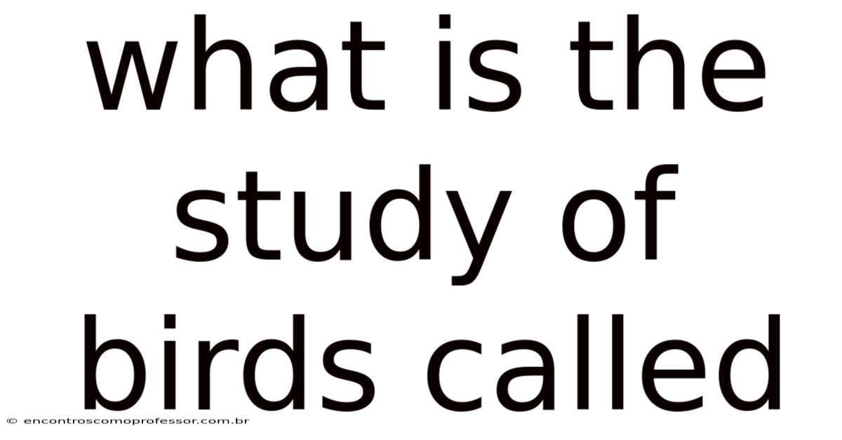 What Is The Study Of Birds Called