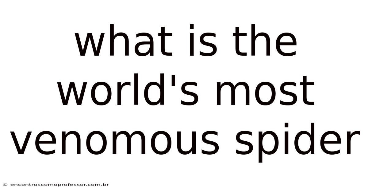 What Is The World's Most Venomous Spider