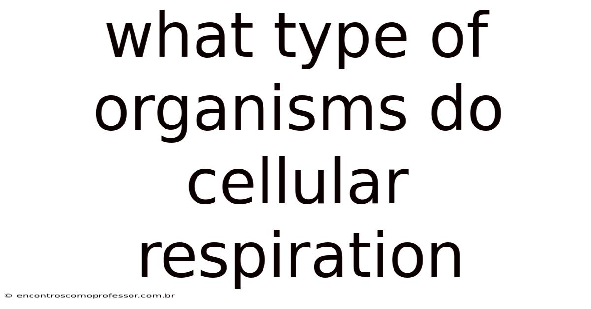 What Type Of Organisms Do Cellular Respiration