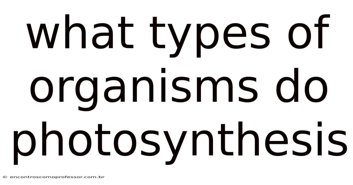 What Types Of Organisms Do Photosynthesis