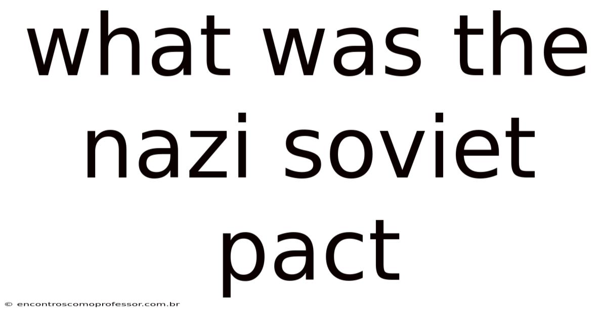 What Was The Nazi Soviet Pact