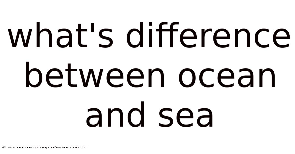 What's Difference Between Ocean And Sea