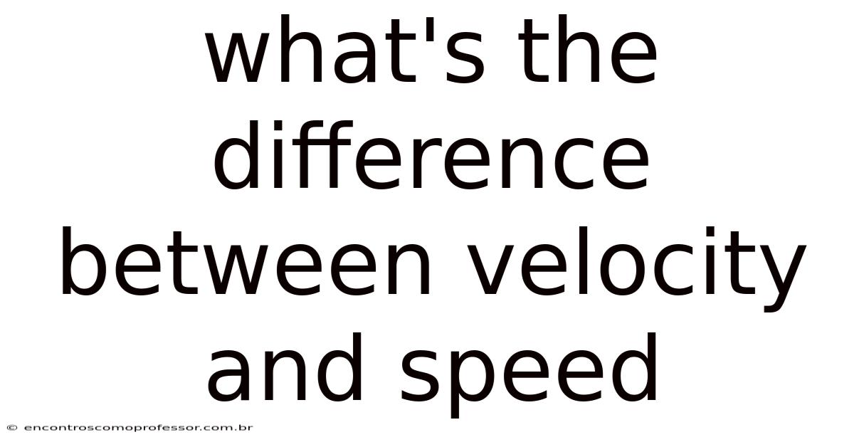What's The Difference Between Velocity And Speed