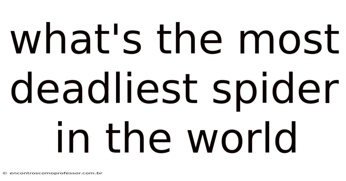 What's The Most Deadliest Spider In The World
