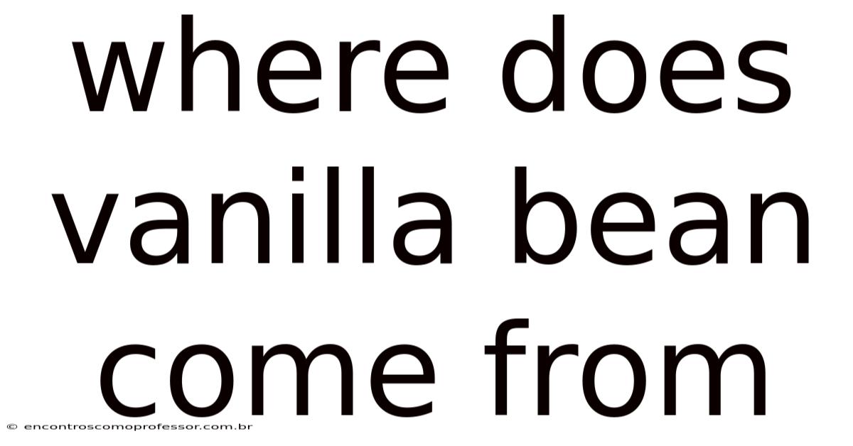 Where Does Vanilla Bean Come From
