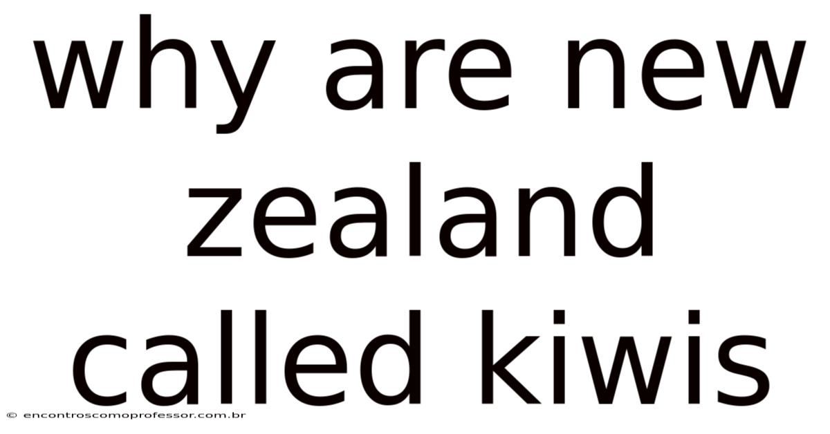 Why Are New Zealand Called Kiwis