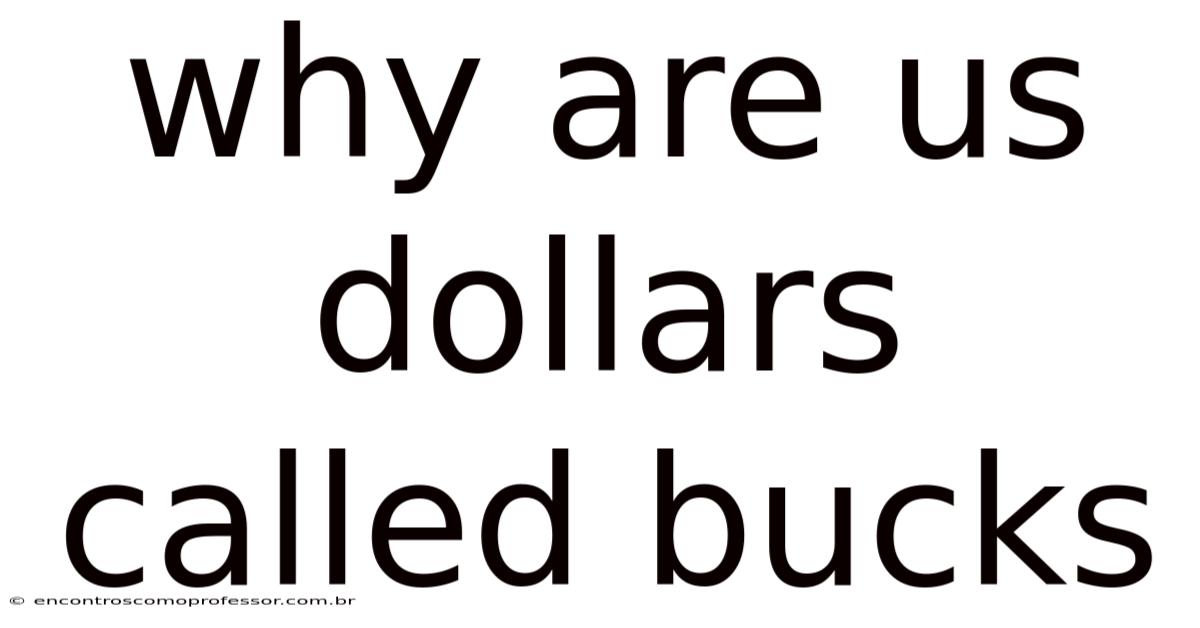 Why Are Us Dollars Called Bucks
