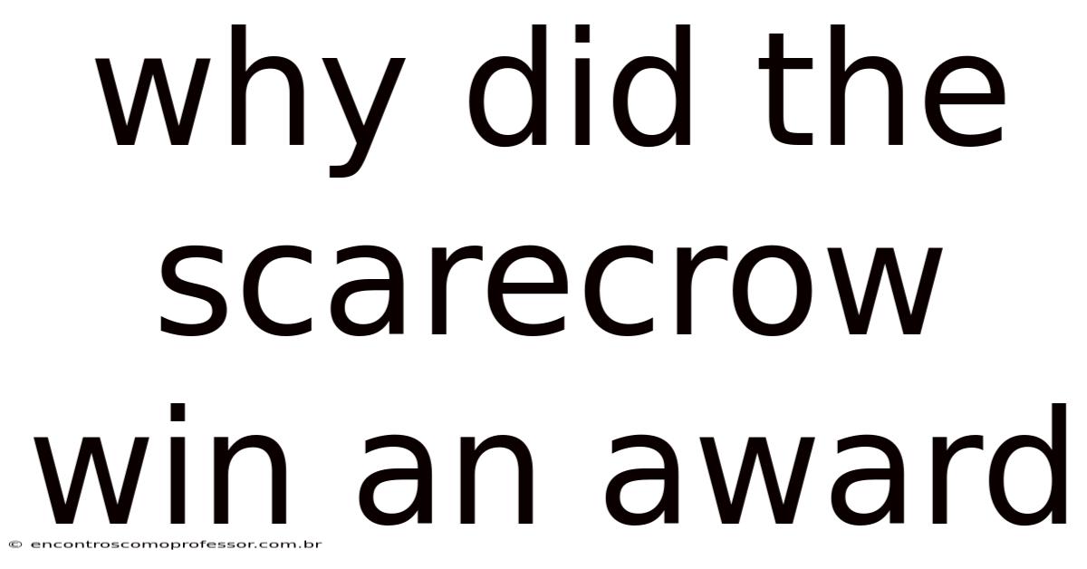 Why Did The Scarecrow Win An Award