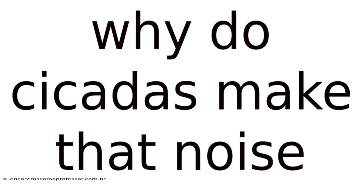 Why Do Cicadas Make That Noise