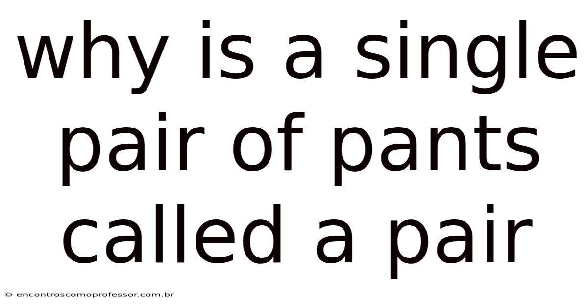 Why Is A Single Pair Of Pants Called A Pair