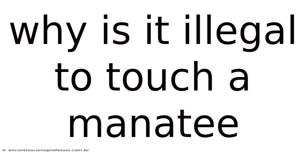 Why Is It Illegal To Touch A Manatee