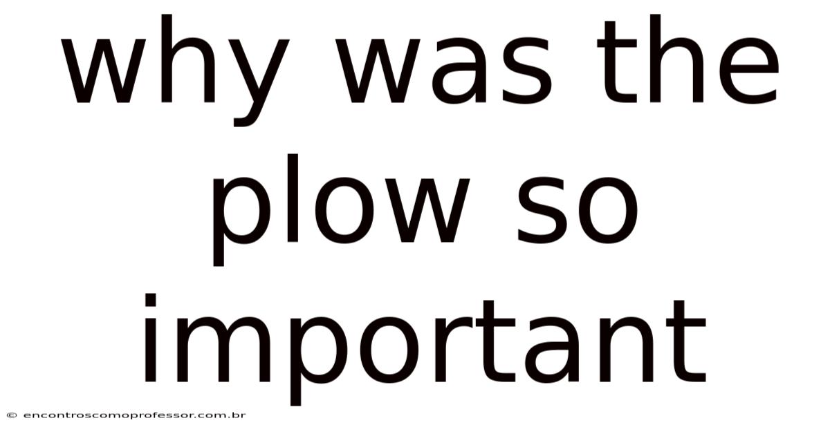 Why Was The Plow So Important