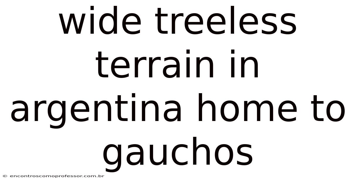 Wide Treeless Terrain In Argentina Home To Gauchos