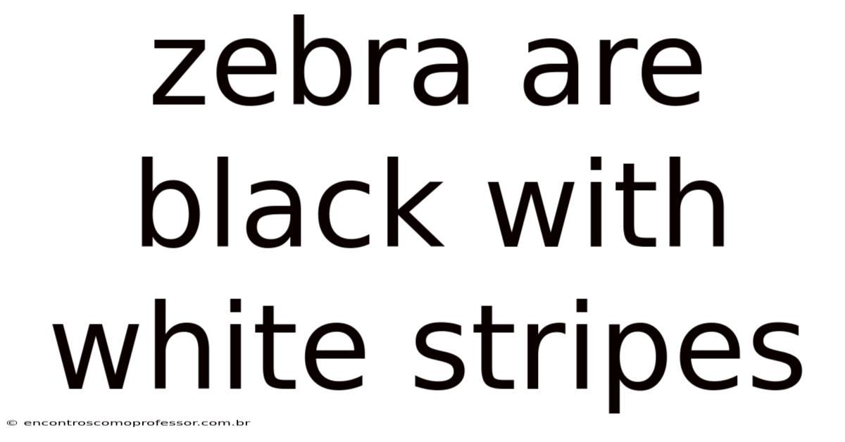 Zebra Are Black With White Stripes
