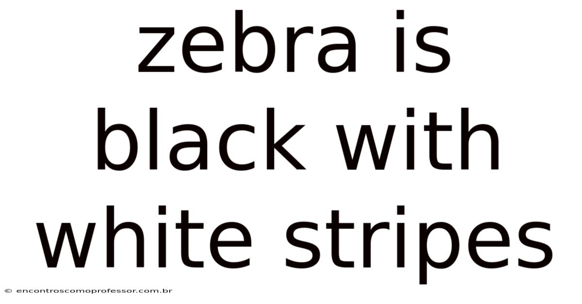 Zebra Is Black With White Stripes