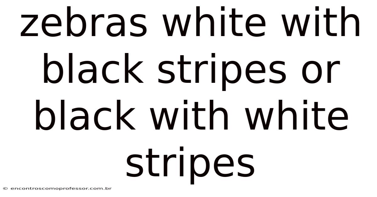 Zebras White With Black Stripes Or Black With White Stripes